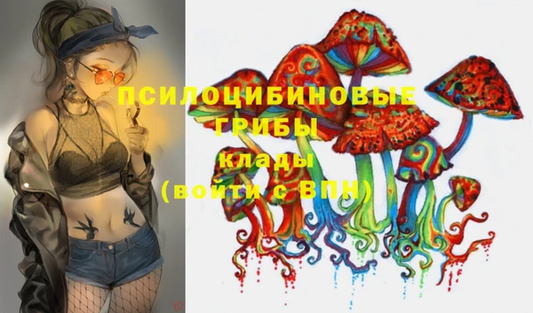 круглые Нягань